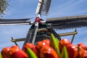 парк тюльпанов в Голландии, Кекенхоф, туры из Польши, Испании, Германии