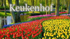 Кекенхоф, Автобусные туры из Польши в Нидерланды с EsfiriaTravel