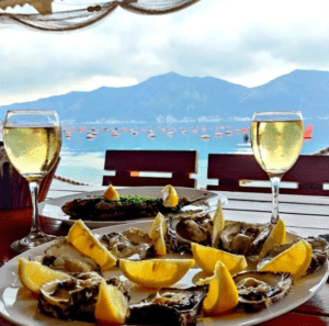 дегустация устриц, Черногрия, туры и экскурсии с EsfiriaTravel