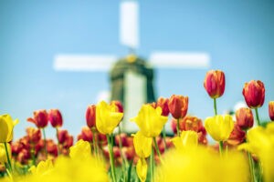 экскурсионные туры в Кекенхоф, Сад Европы, туры с EsfiriaTravel