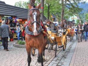 Тур в Закопане. Улица Крупувки. Турагентство Esfiria Travel