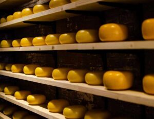 Экскурсия на сырную ферму. Автобусные туры в Амстердам из Польши с Esfiria Travel