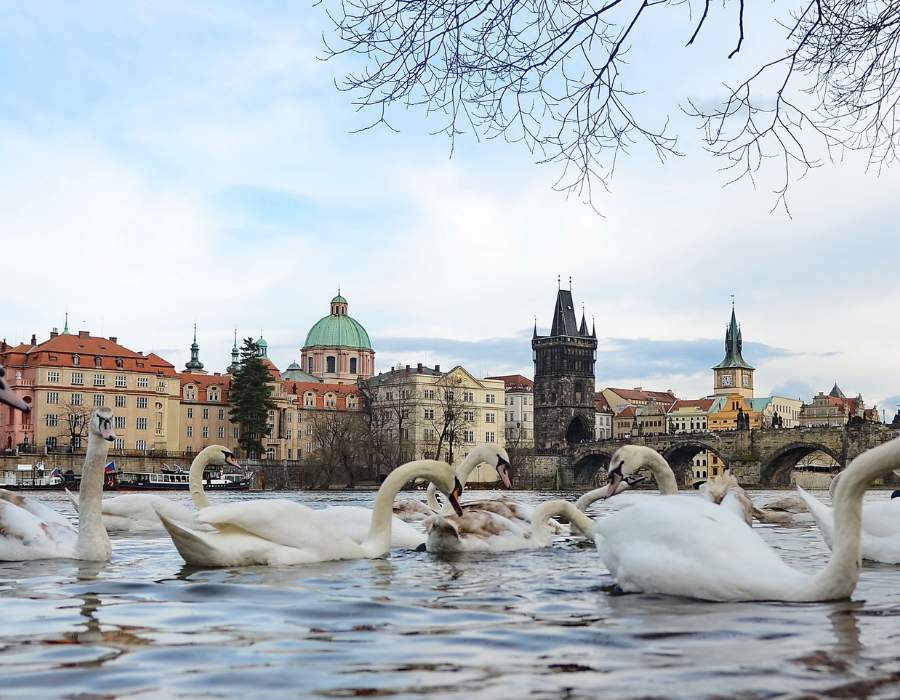 Прага, туры и экскурсии с Esfiria Travel